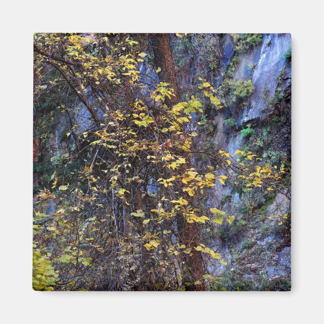 Imán Foliage dorado (Frente)