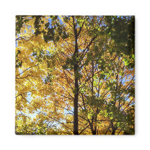 Follaje de otoño amarillo y verde