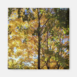 Imán Follaje de otoño amarillo y verde