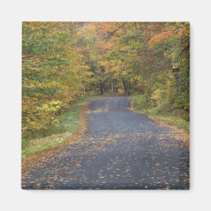 Imán Follaje de otoño en la carretera, sur de Vermont,