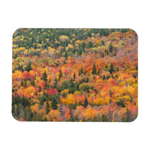 Imán Follaje de otoño   Península de Keweenaw, Michigan
