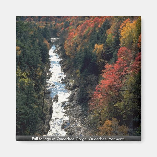 Imán Follaje otoñal en Queechee Gorge, Queechee, Vermon (Frente)