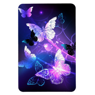 Imán Fondo con mariposas nocturnas