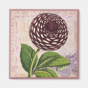 Imán Fondo de Damasco de Collage Botánico de Dahlia Vin