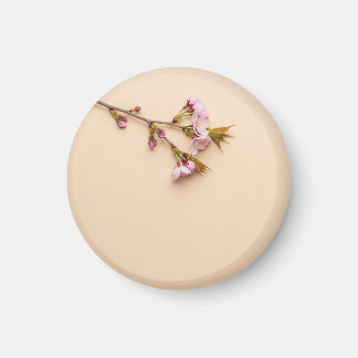 Imán Fondo de flor de cerezo y margarita
