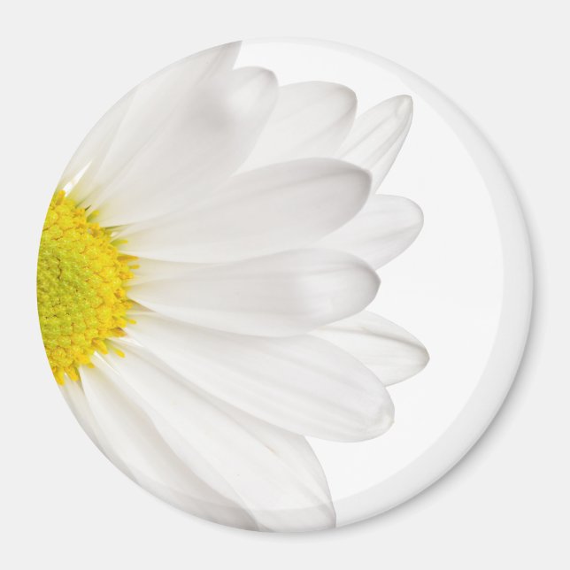 Imán Fondo de la flor de margarita blanca Daisies perso (Frente)