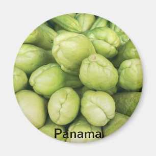 Imán Fondo del edule orgánico de Sechium del choko