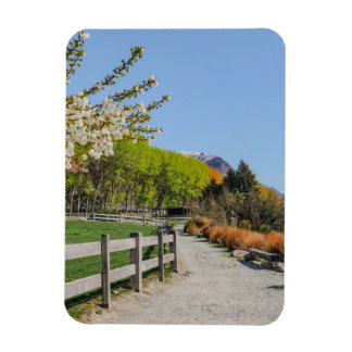 Imán - fondo del pico de Walter