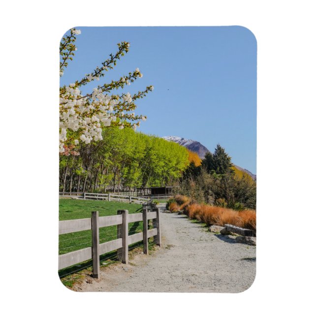 Imán - fondo del pico de Walter (Vertical)