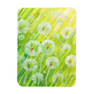 Imán Fondo natural 2