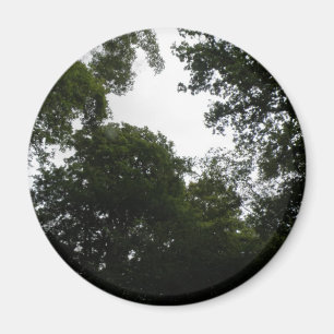 Imán Forestal Sombrío