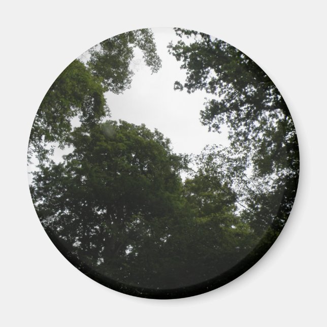 Imán Forestal Sombrío (Frente)