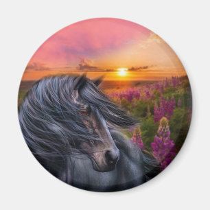 Imán Forever Wild Black Horse