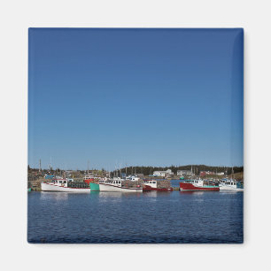 Imán Forma de vida de Nova Scotian