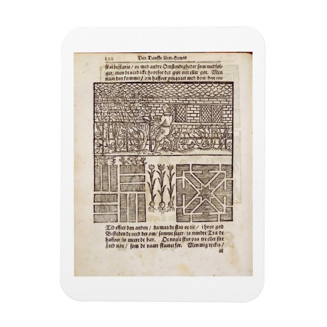 Imán Formación y plantación en el jardín, de 'The Dut (Vertical)