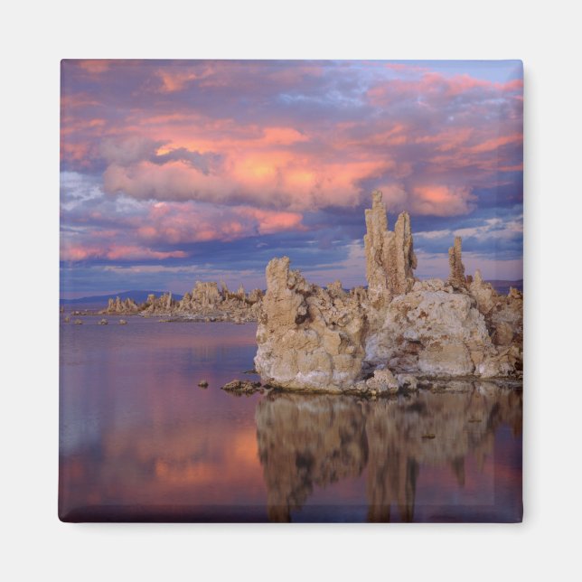 Imán Formaciones de Tufa en el Lago Mono (Frente)