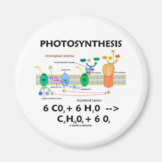Imán Fórmula de fotosíntesis (química)