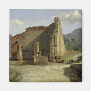 Imán Foro de Pompeya