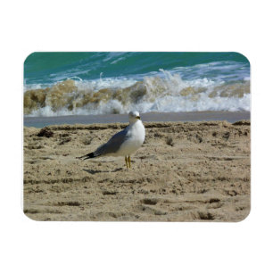 Imán Fort Lauderdale, Florida