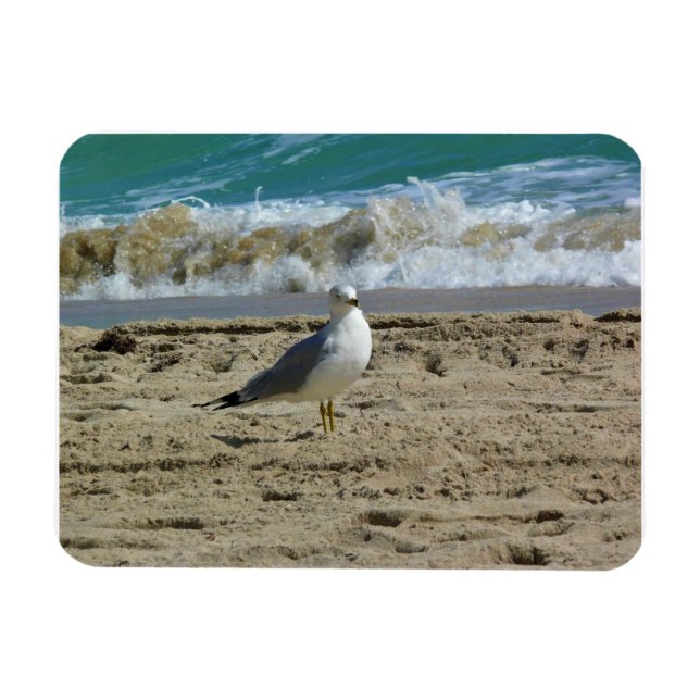 Imán Fort Lauderdale, Florida (Horizontal)