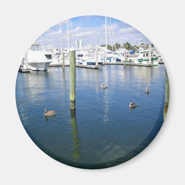 Imán Fort Lauderdale, Florida (Frente)