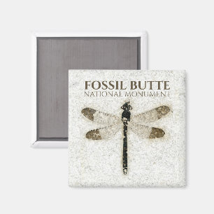 Imán Fósil Damselfly, Fossil Butte NM, Wyoming