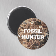 Fossil Hunter Turritella Agate Imagen