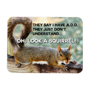 Imán Foto ADD Squirrel