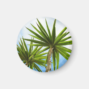 Imán Foto con efecto de pintura de hojas de palmera Yuc