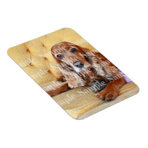 Imán Foto conmemorativa del Mascota PERSONALIZADA