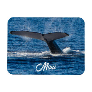Imán Foto de ballena jorobada en Maui