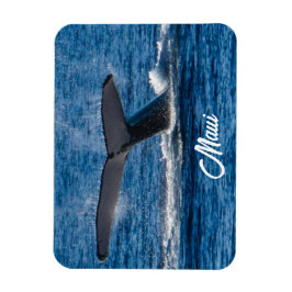 Imán Foto de ballena jorobada en Maui