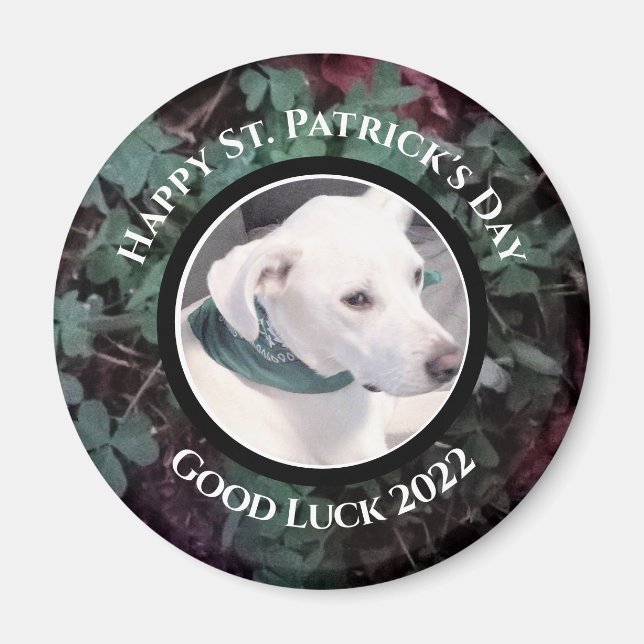 Imán Foto de Cute White Dog Green Shamrock Clovers (Frente)