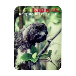 Imán Foto de eslogan en árbol