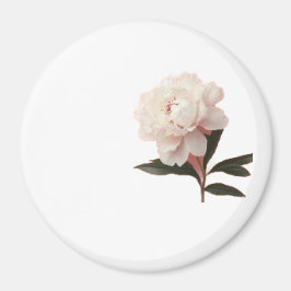 Imán Foto de flor de peonía rosa Vintage Blush