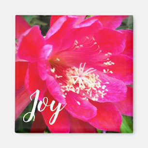 Imán Foto de Flor Rosa Tropical