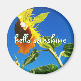 Imán Foto de girasol amarillo Hello Sunshine Script Bol