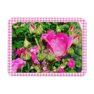Imán Foto de jardín de rosas con cuadros de gingham ros