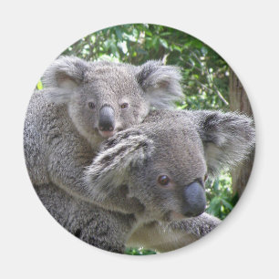 Imán Foto de koala magnético y bebé Australia