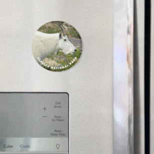 Imán Foto de la cabra de la montaña del Parque Nacional