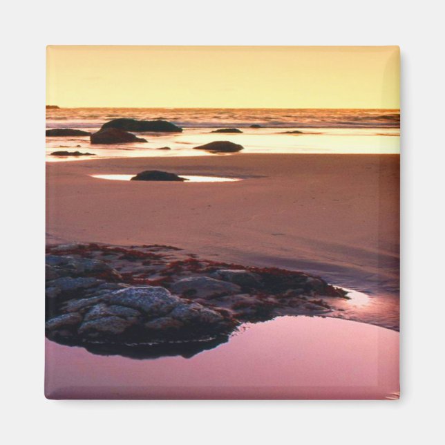 Imán Foto de la línea de sol del puerto de Brookings (Frente)