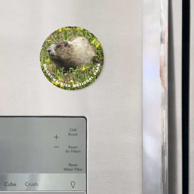 Imán Foto de la marmota del Parque Nacional Mount Raini (In situ (nevera))