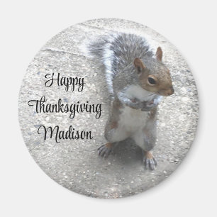 Imán Foto de la pequeña ardilla con cola blanda