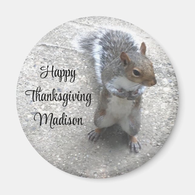 Imán Foto de la pequeña ardilla con cola blanda (Frente)