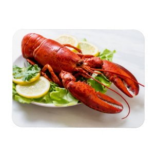 Imán Foto de Lobster