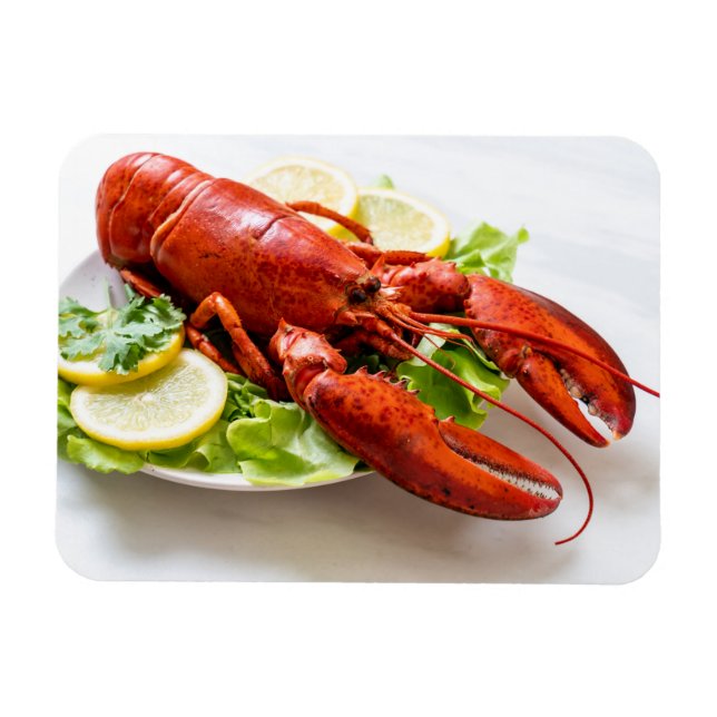 Imán Foto de Lobster (Horizontal)