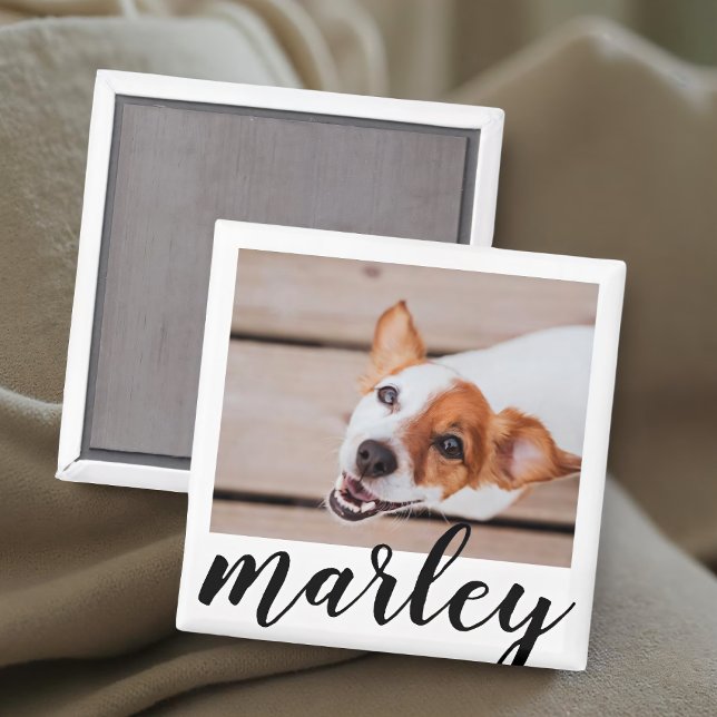 Imán Foto de mascota moderna juguetona simple y chic (Subido por el creador)