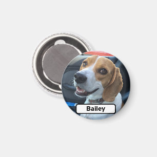 Imán Foto de Mascota Personalizada