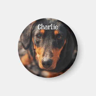 Imán Foto de mascota personalizada