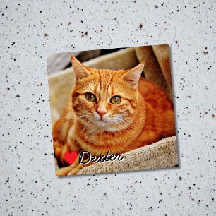 Imán Foto de mascota personalizada recuerdo Perro Gato